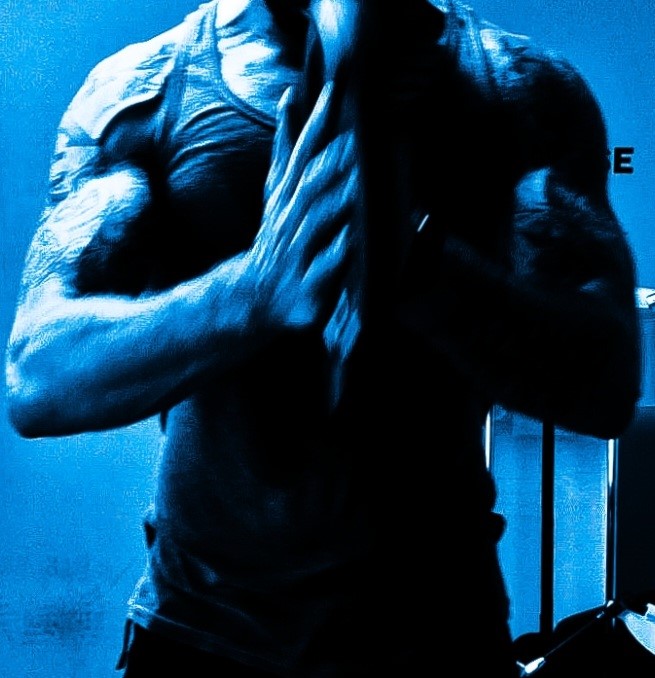 Bild zerstört oder nicht gefunden 